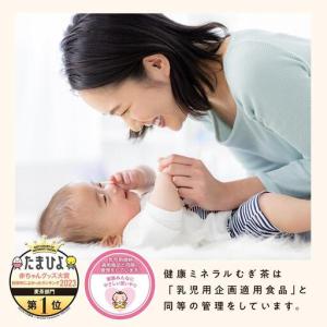 ふるさと納税 定期便 毎月 全12回 健康ミネ...の詳細画像2