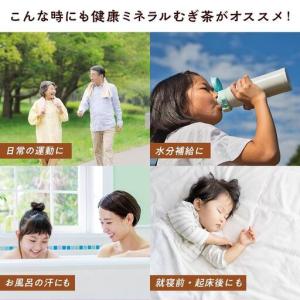 ふるさと納税 定期便 毎月 全6回 健康ミネラ...の詳細画像3