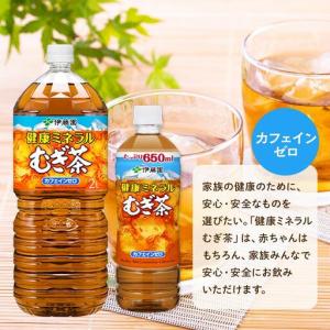 ふるさと納税 定期便 毎月 全12回 健康ミネ...の詳細画像1