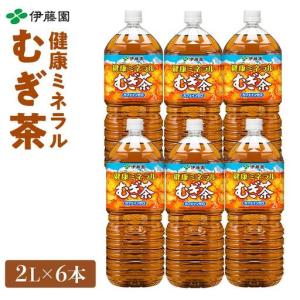 ふるさと納税 定期便 毎月 全3回 健康ミネラル麦茶 2L×6本 １ケース 3ヶ月定期便 和歌山県海南市
