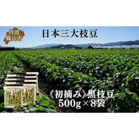 ふるさと納税 【先行予約】秋の味覚「丹波黒枝豆」 フレッシュな甘み・500g×8袋　初摘み 【202...
