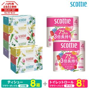 ふるさと納税 トイレットペーパー ダブル 8ロール ＋ ティッシュ 8箱 セット スコッティ ティッシュ トイレット 熊本県八代市