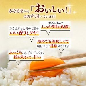ふるさと納税 【令和7年産】さがびより 精米 ...の詳細画像2