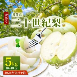 ふるさと納税 【先行予約】 2026年度産 梨 訳あり 二十世紀梨 5kg（10〜18玉）サイズバラ...