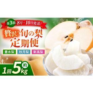 ふるさと納税 【先行予約】【3回定期便】 梨 約5kg 計約15kg（豊水・秋月・新高） 梨 ナシ フルーツ 果物 【日本フルーツ株式会社】 [ZFJ024] 熊本県山鹿市