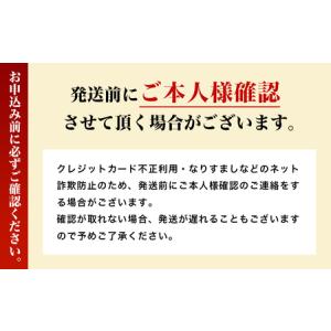 ふるさと納税 Pt950 コプラチェーン 60...の詳細画像4