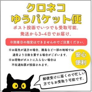 ふるさと納税 佐賀のご当地キャンディ すももキ...の詳細画像2