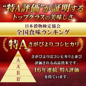 ふるさと納税 【数量限定】《10月下旬順次配送...の詳細画像2
