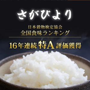 ふるさと納税 【数量限定】《10月下旬順次配送...の詳細画像3