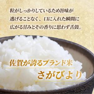ふるさと納税 【数量限定】《10月下旬順次配送...の詳細画像4