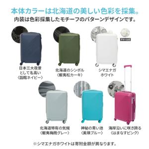 ふるさと納税 スーツケースBrushカラーパレ...の詳細画像2