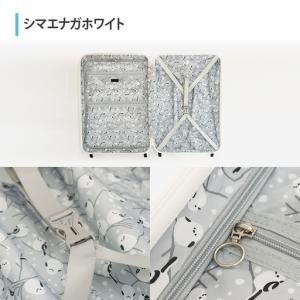 ふるさと納税 スーツケースBrushカラーパレ...の詳細画像3