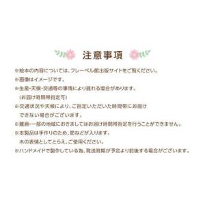 ふるさと納税 【アンパンマンともえるほし】「か...の詳細画像1