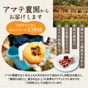ふるさと納税 S111-007_和スイーツ!天...の詳細画像3