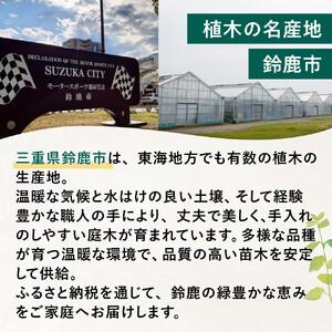 ふるさと納税 【産地直送】元気なタマリュウ(7...の詳細画像1