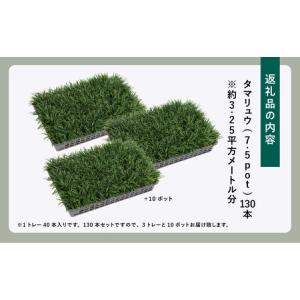 ふるさと納税 【産地直送】元気なタマリュウ(7...の詳細画像4