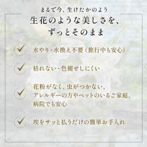 ふるさと納税 造花 百合 カサブランカ 3Lサ...の詳細画像2