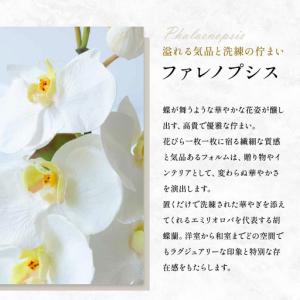 ふるさと納税 胡蝶蘭 造花 アートフラワー 白...の詳細画像2