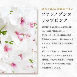 ふるさと納税 胡蝶蘭 造花 アートフラワー リ...の詳細画像2