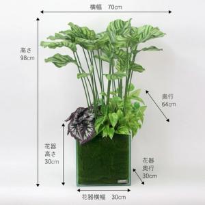 ふるさと納税 観葉植物 造花 カラテア ギャザ...の詳細画像3