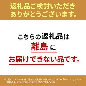 ふるさと納税 アートフラワー エミリオ・ロバ ...の詳細画像1