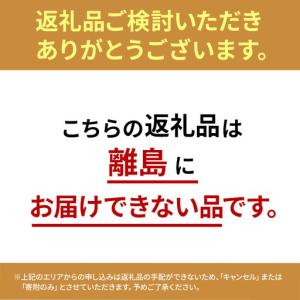 ふるさと納税 アートフラワー 胡蝶蘭 エミリオ...の詳細画像1