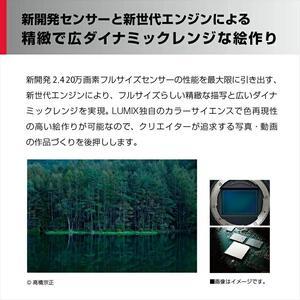 ふるさと納税 パナソニック フルサイズミラーレ...の詳細画像1
