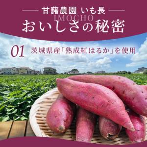 ふるさと納税 干し芋 切り落とし はづつこ 1...の詳細画像4