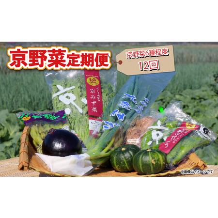 ふるさと納税 【野菜 定期便 12回】選りすぐり京野菜 6種程度 京都府