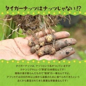 ふるさと納税 【毎月定期便】タイガーナッツ グ...の詳細画像1