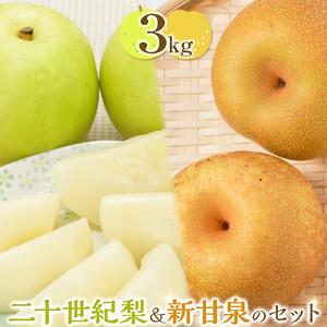 ふるさと納税 284.【先行予約】二十世紀梨と新甘泉のセット｜梨 なし 二十世紀梨 新甘泉 しんかんせん　※2026年8月下旬〜9月下旬頃に順次発送予.. 鳥取県北栄町