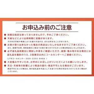 ふるさと納税 284.【先行予約】二十世紀梨と...の詳細画像1