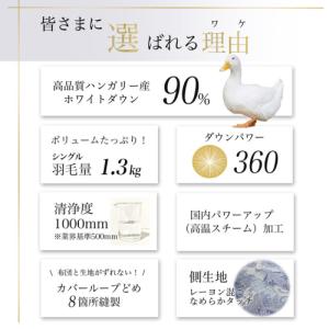 ふるさと納税 【ブルー】羽毛布団 本掛け布団 ...の詳細画像2
