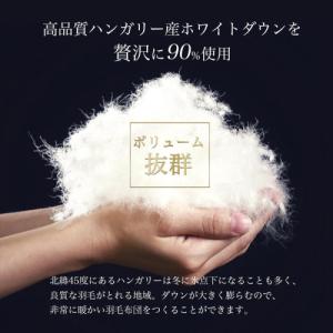ふるさと納税 【ブルー】羽毛布団 本掛け布団 ...の詳細画像3