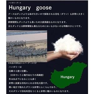 ふるさと納税 【ブルー】羽毛布団 本掛け シン...の詳細画像2