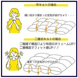 ふるさと納税 【ブルー】羽毛布団 本掛け シン...の詳細画像4