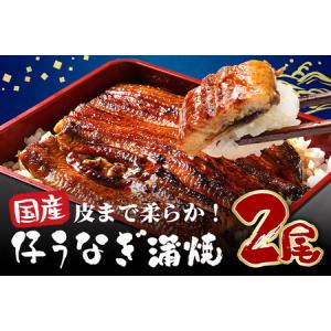 ふるさと納税 超特大!やわらか 国内産うなぎ蒲焼...の商品画像