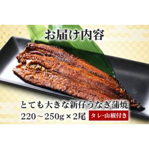 ふるさと納税 超特大!やわらか 国内産うなぎ蒲...の詳細画像2
