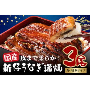 ふるさと納税 やわらか国内産 うなぎ蒲焼 食べ切...の商品画像