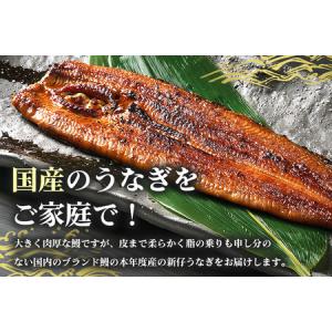 ふるさと納税 やわらか国内産 うなぎ蒲焼 食べ...の詳細画像1