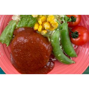 ふるさと納税 国産有機大豆ミートハンバーグ 1...の詳細画像1