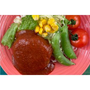 ふるさと納税 国産有機大豆ミート ハンバーグ ...の詳細画像1