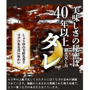 ふるさと納税 【毎月定期便】魚鶴お楽しみ海鮮4...の詳細画像2