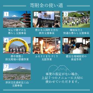 ふるさと納税 富士吉田市オリジナルマスキングテ...の詳細画像4