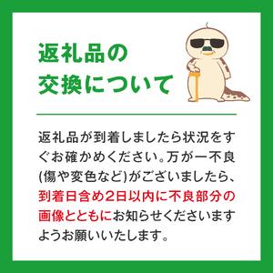 ふるさと納税 【先行予約】たにがみ農園 新甘泉...の詳細画像1