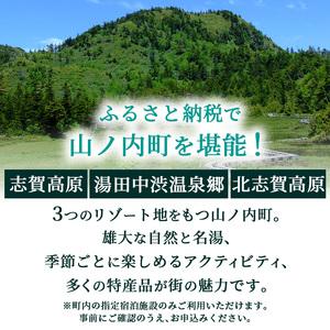ふるさと納税 山ノ内町内宿泊補助券(3枚)1年...の詳細画像1