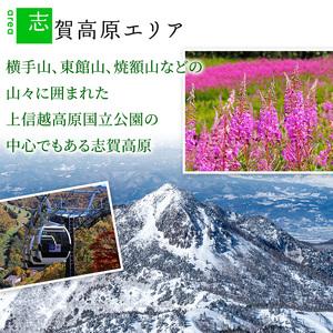 ふるさと納税 山ノ内町内宿泊補助券(3枚)1年...の詳細画像2
