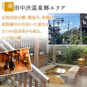 ふるさと納税 山ノ内町内宿泊補助券(3枚)1年...の詳細画像3