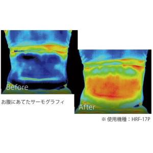 ふるさと納税 美容 ヤーマン キャビスパRFコ...の詳細画像3