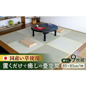 ふるさと納税 一畳屋 たたみっこ 縁無し 9枚セット 畳[AYAB002] 熊本県合志市